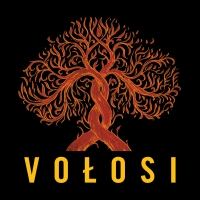 VOŁOSI
